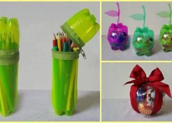 Recycle the Plastic Bottles To Perform Something New