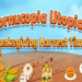Pocket7Games to Host Two-Week Bingo Clash Thanksgiving Event