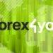 Is The Forex4You Best Trading Company In The FX Market?