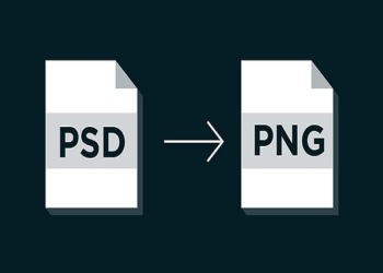 What Is PSD Vs PNG?