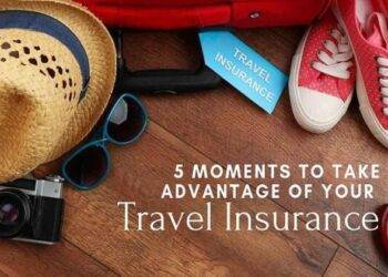Travel Insurance Tools to Ease Your Daily Life