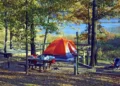 Outdoor Camping: What’s In It For You?