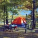 Outdoor Camping: What’s In It For You?