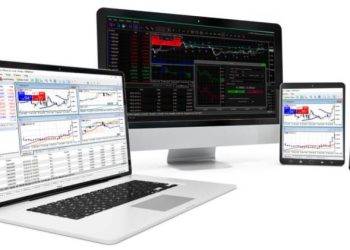 Reading Windsor Brokers Review Is A Must For New Traders