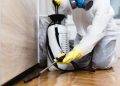 Questions To Ask to The Pest Control Provider in Texas