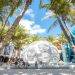 Things to Do in South Miami: An Ultimate Guide for Fun and Exploration