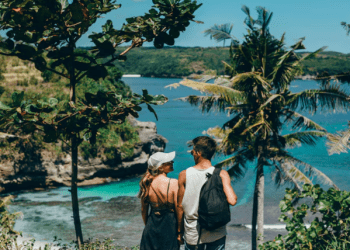 Into the Wild Horizon: A Complete Human Guide to Travel to Papua