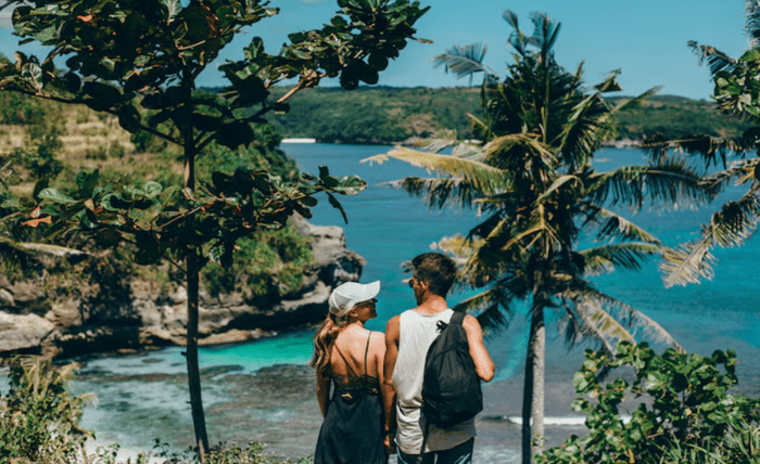 Into the Wild Horizon: A Complete Human Guide to Travel to Papua